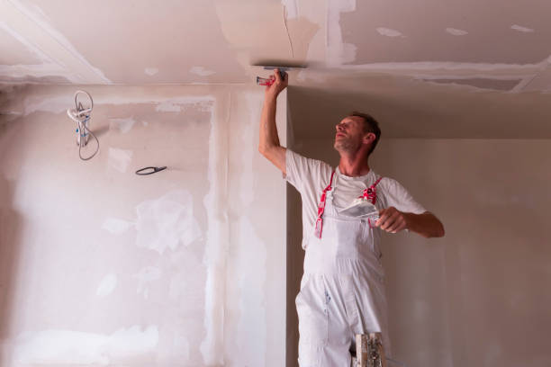 Best Drywall Texturing  in Phoenix, IL